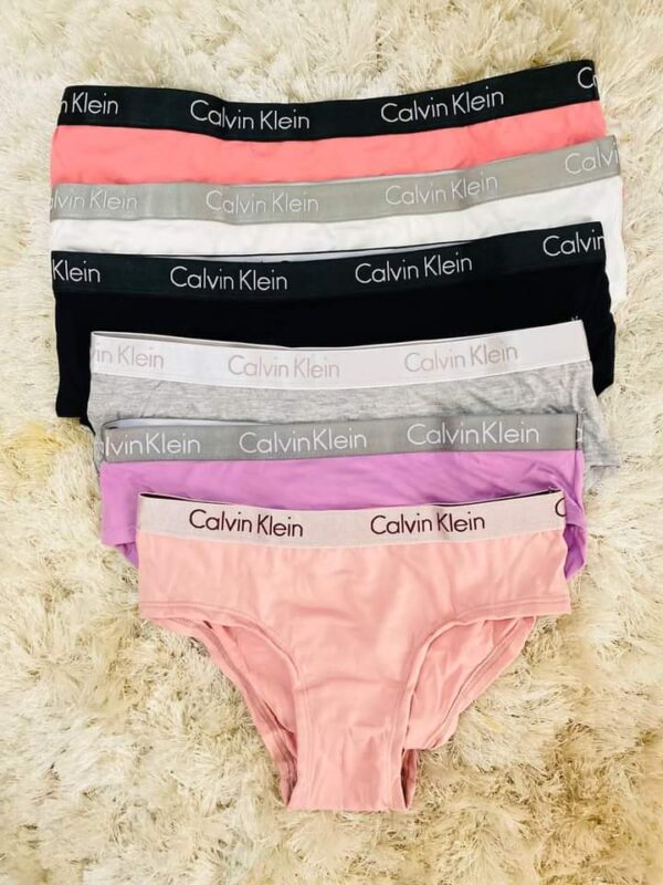 Calvin klein 6 pcs of pack ladies panty