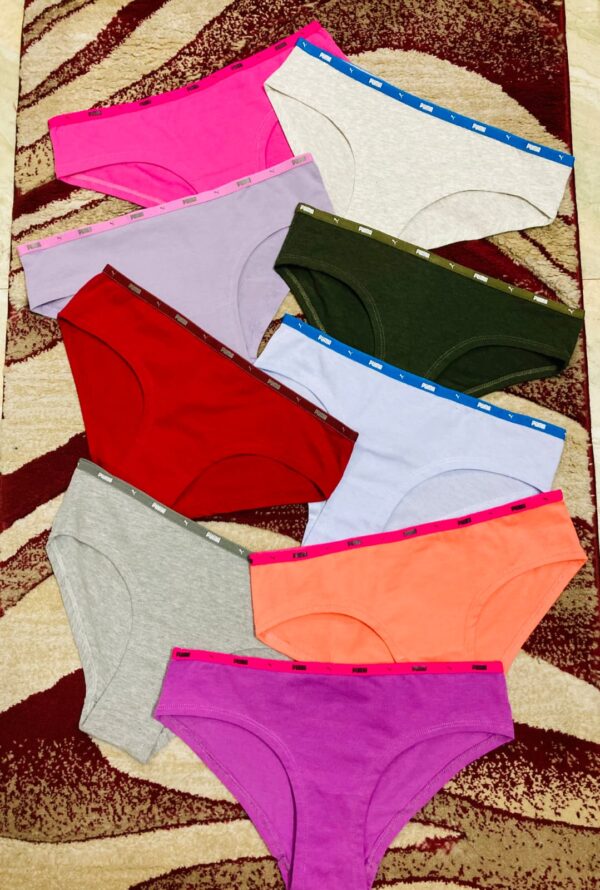 5 pcs of pack Puma Ladies panty with hanger pack