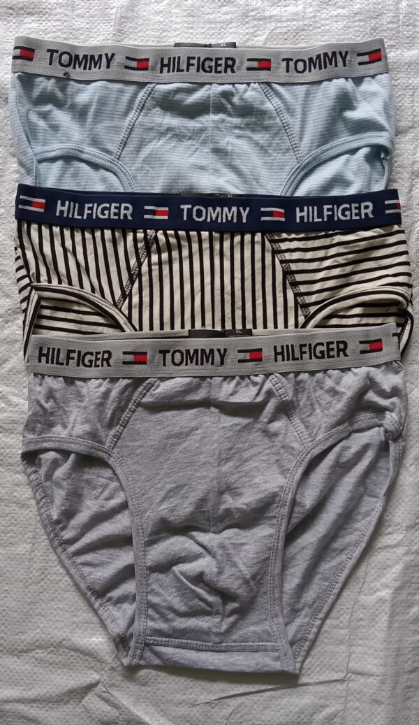 Tommy Hilfiger Men's Brief Underwear - Image 2